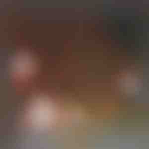 180x Kerststickers | XMASCLINGS