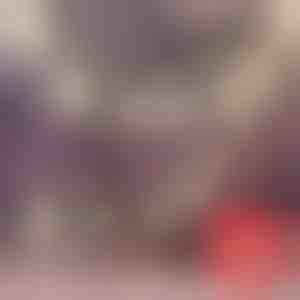 2 x 3,6 m LED-snoerlampjes met sneeuwvlokmotief | LEDFLAKES