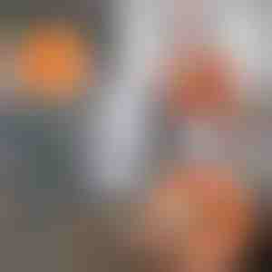 360 Graden Draaibare Verstelbare Schoonmaakdweil | CORALMOP