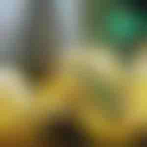 Gloeiend Kerstlint (500 cm) | SHINESTRAP 1+1 GRATIS