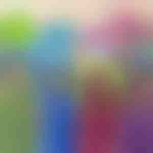 Speelgoed, kussen & hoodie | PILLOWPET