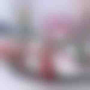 Kersttrein | TRAINMAS