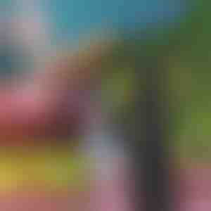 Automatische vliegenvanger | FLYBEGONE