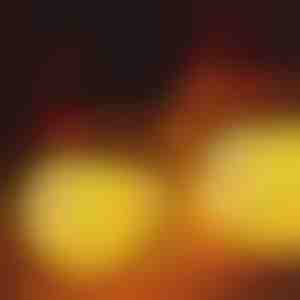 Sneeuwpop lichtkapjes | SNOWKO