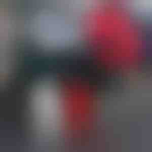 Monsterklauw Stickers voor Auto (4 stuks) | SHINECLAW