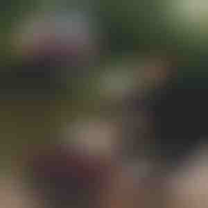 Opvouwbare visemmer | RIBETINA