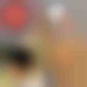 Gehaakte paardenstaart muts | BEANIEHUT 1+1 GRATIS