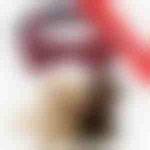 2 x Feestelijke halsband met sneeuwvlokjes | DOGICOLLAR