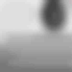 Sneldichtende reparatiespijkers voor banden (60 stuks) | VULCOFIX