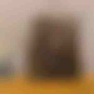 Diefstalbestendige Rugzak | ELIPACK