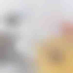 Flexibele borstel voor verstopte afvoeren & leidingen | DRAINOVA