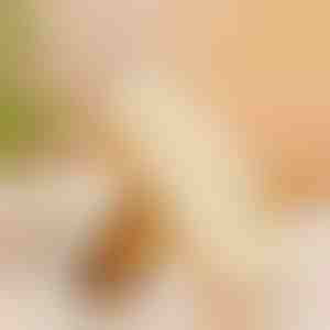 Rubberen schoenborstel | RUBSHOE