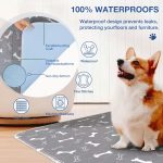 PAWSORB